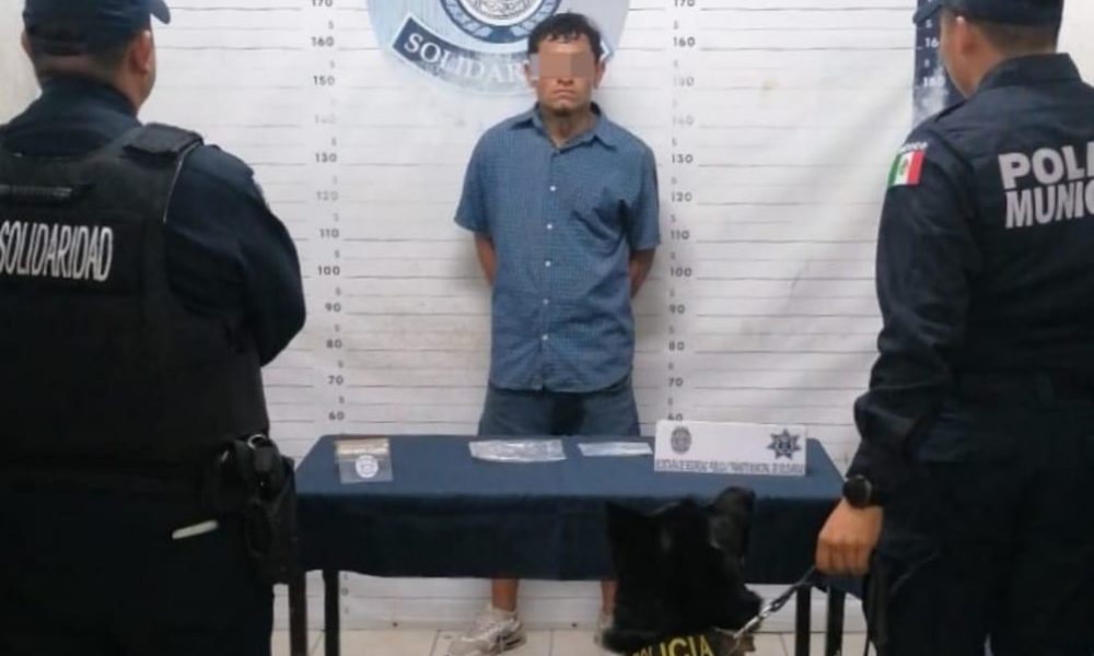 Detienen A Tabasqueño Con Droga En Playa Del Carmen 5to Poder