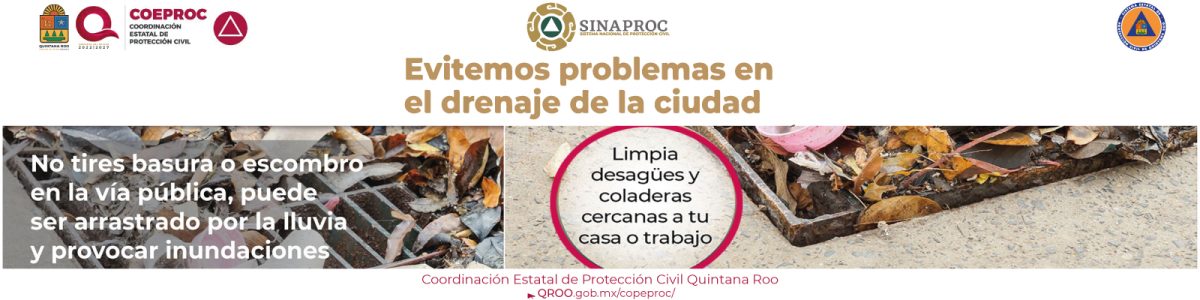 info11