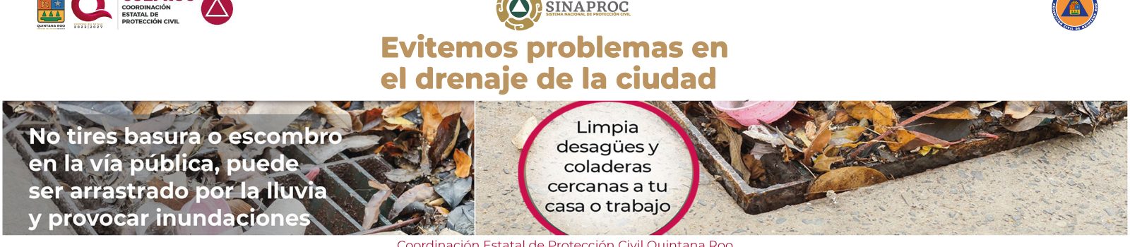 info11