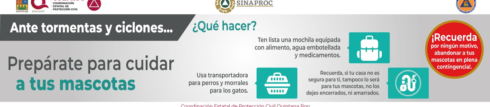 info16