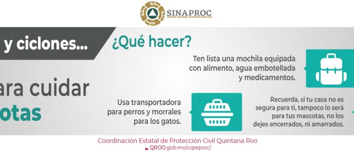 info16