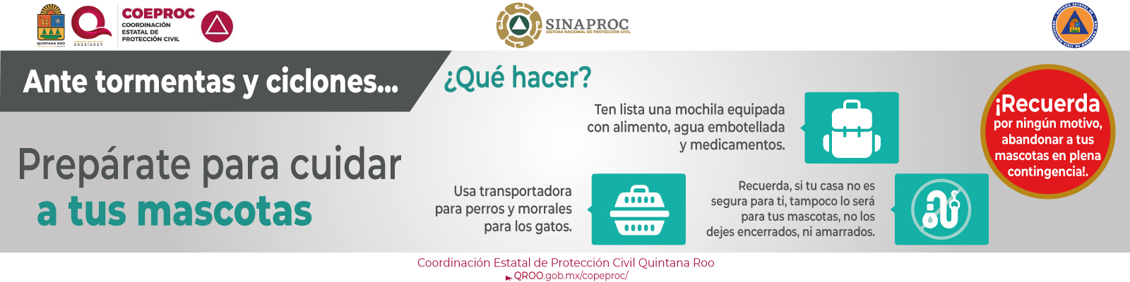 info16