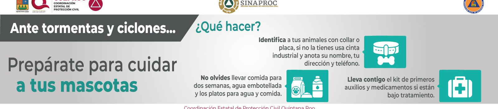 info17