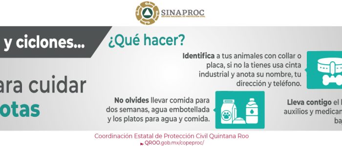 info17