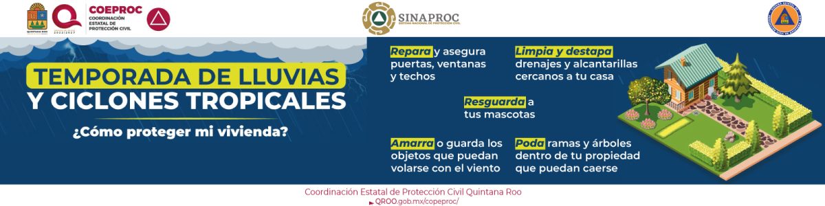 info22