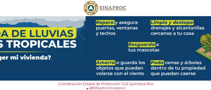 info22