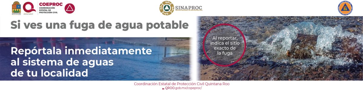 info26