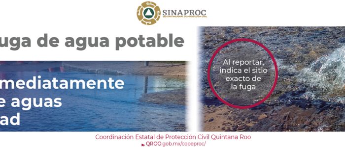 info26