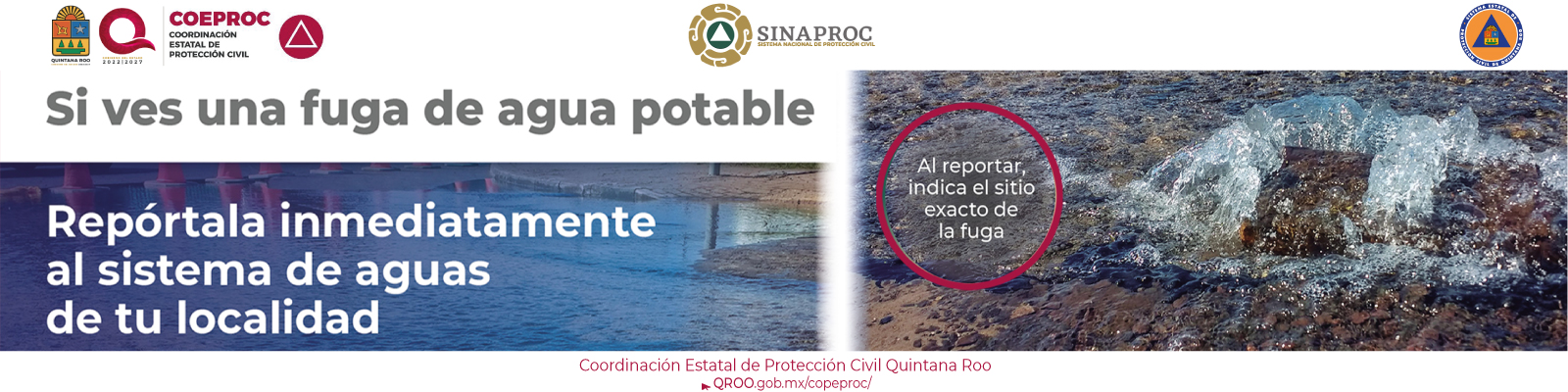 info26