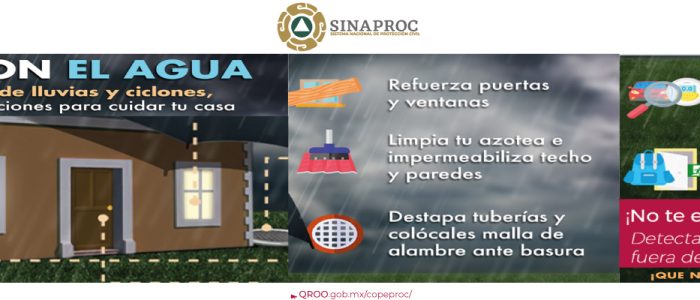 info4